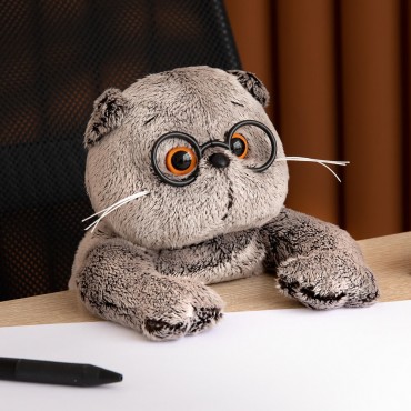Кот Басик в очках (27 см)
