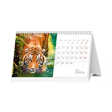 Календарь настольный Я - тигр 2022
