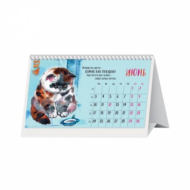 Настольный Календарь кошачьих мыслей 2024