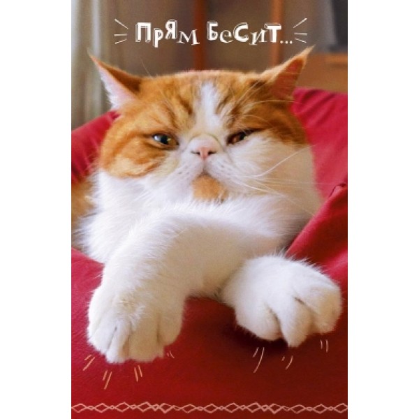 Картинках, бесит все открытка